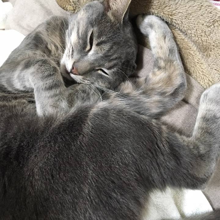 Ba12b0a4 bb90 45fe ab07 f6a2a38632c5 1558356026558