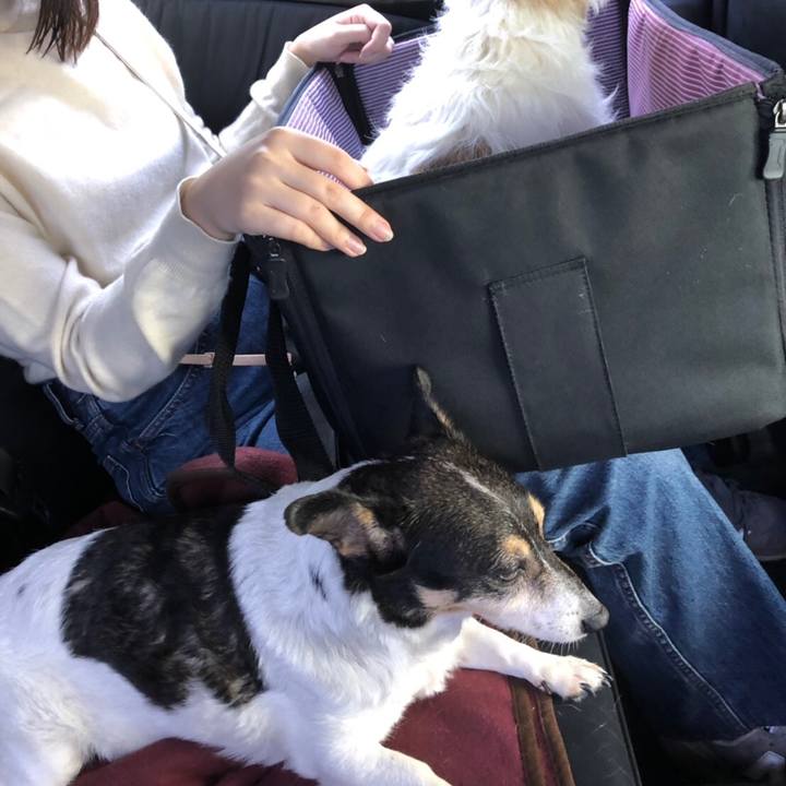 Ba12ee72 ae40 402c afb3 282051cd8bdb 1571037274690