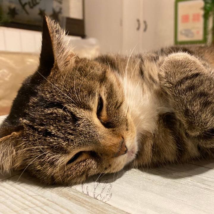 Ba130f29 dc34 49ff 8541 417ca6567f36 1607698559196