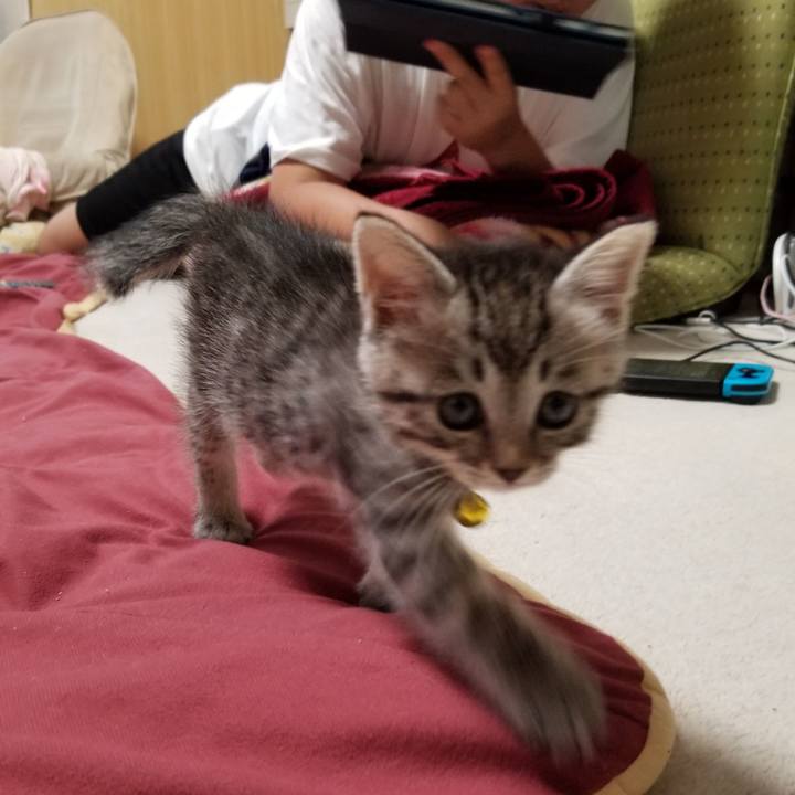 Ba1378b0 0c3c 45d7 abb4 49834e4c3c89 1661352518920