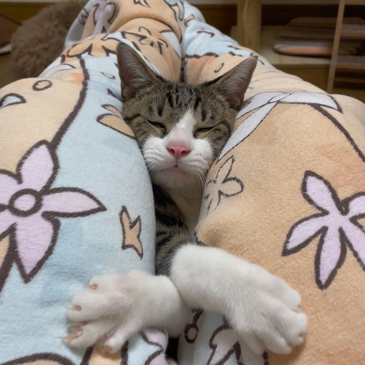 Ba137d4b 55c2 456c bf79 61e802300ace 1730222264665