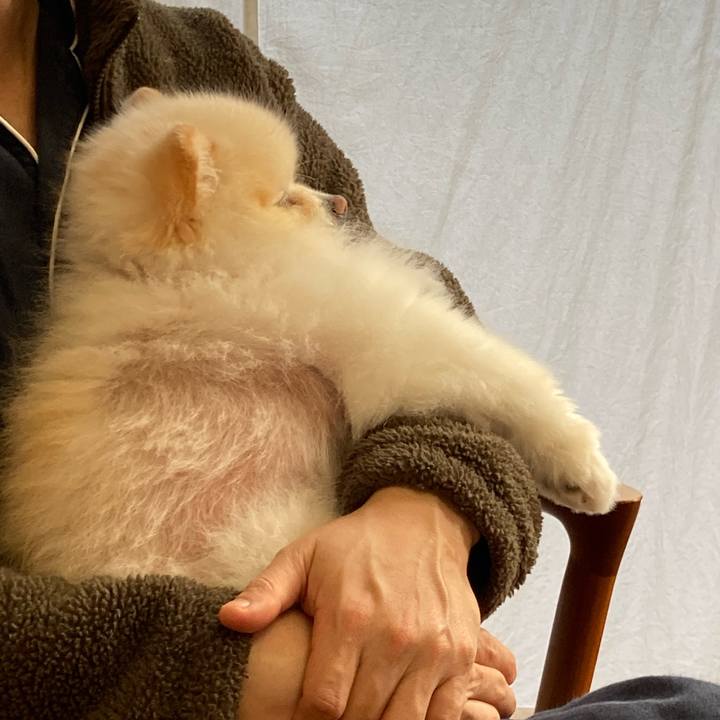 Ba13d1ec 8fe8 43a8 9ce9 56eda226911b 1773531963535