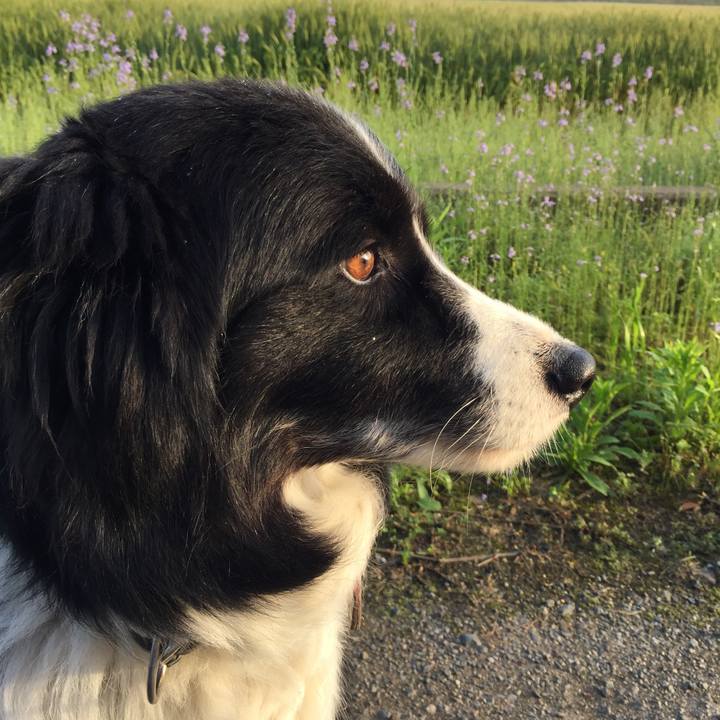 Ba13d2a7 f36c 45d5 8755 755118faf7cf 1556839643550