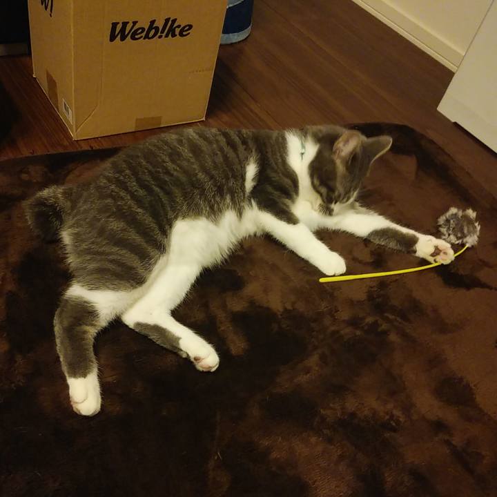 Ba13d439 c3c3 4e9d 96ef fdba142ea54a 1580654585274