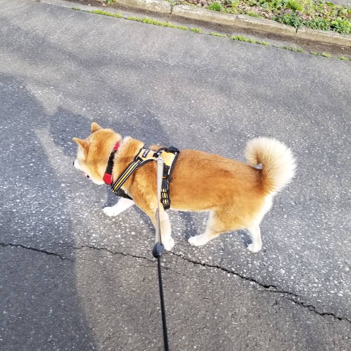 Ba13d512 0dca 49a1 bdc8 222b787aff67 1712819157898