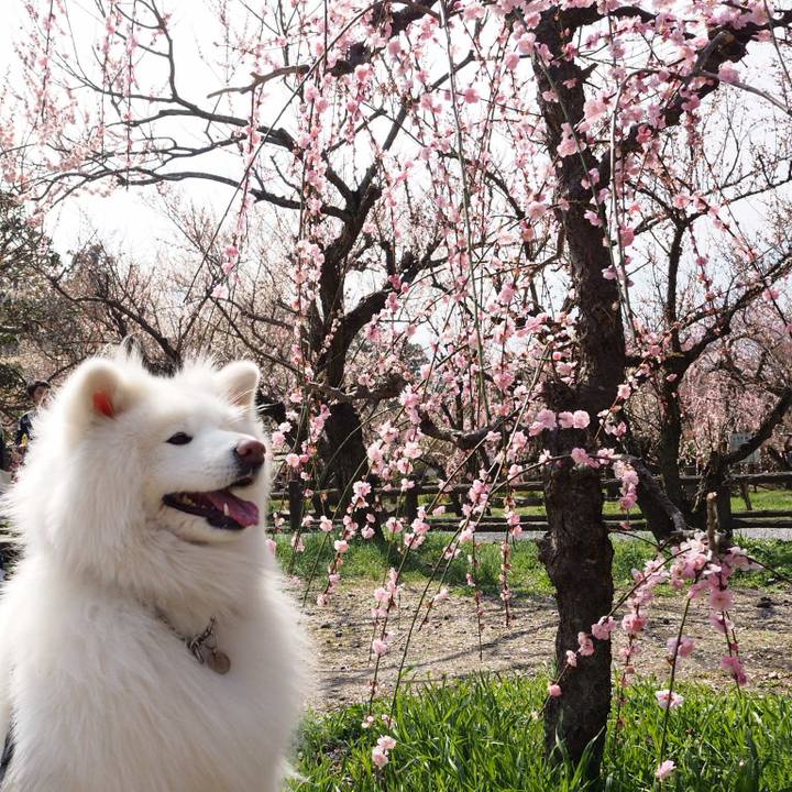 Ba141b52 e726 403a b6bf 323ca35ae04a 1521381805391