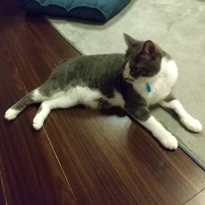 Ba146f8b 8de5 4394 97dd 2e609f63fbc9 1624445253346