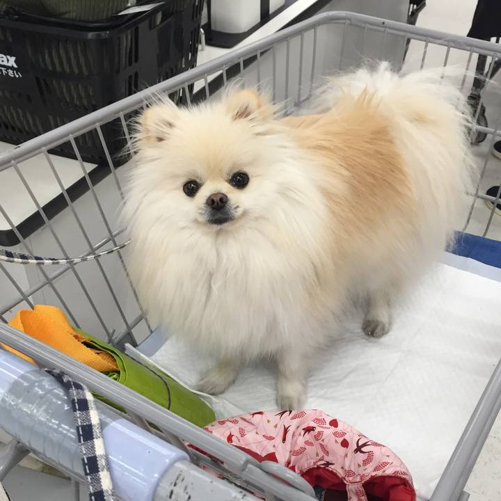 Ba14e16e ca9a 4c50 9742 c9d92529e62f 1516505269792