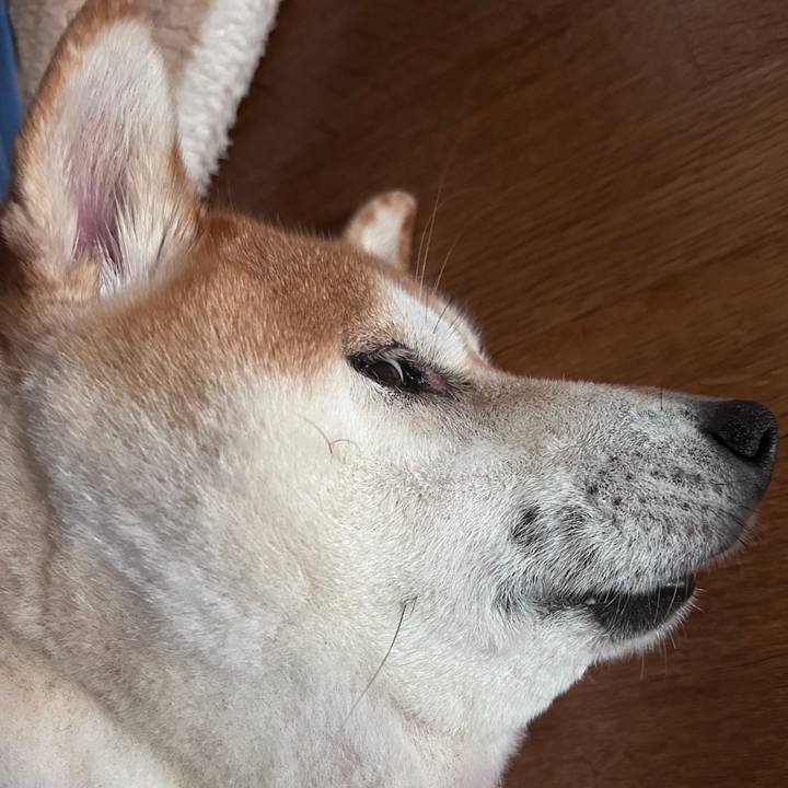 Ba14e602 59d8 4d6c a25a d6475f909815 1726279030638