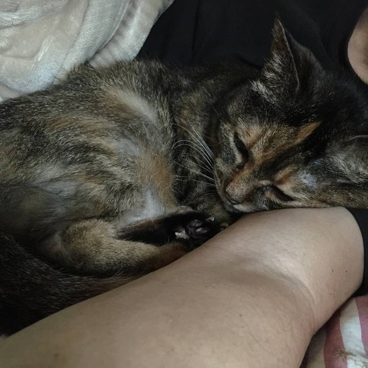 Ba153e07 6d4f 40bb 9502 a6f0679d125b 1563058973563