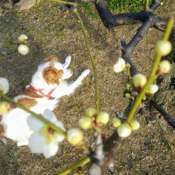 Ba1555cc db69 43d3 83fb 3dcde9cd941f 1549625336172