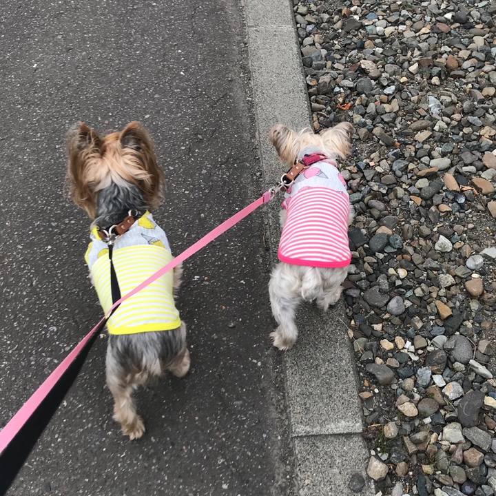 Ba1572ee ca6f 4eba 83d0 996a5fdf3dba 1562750140657