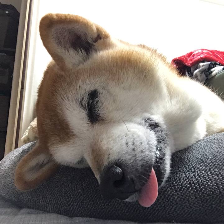 Ba158803 905c 40f9 861a 809f75fdf326 1544190087003