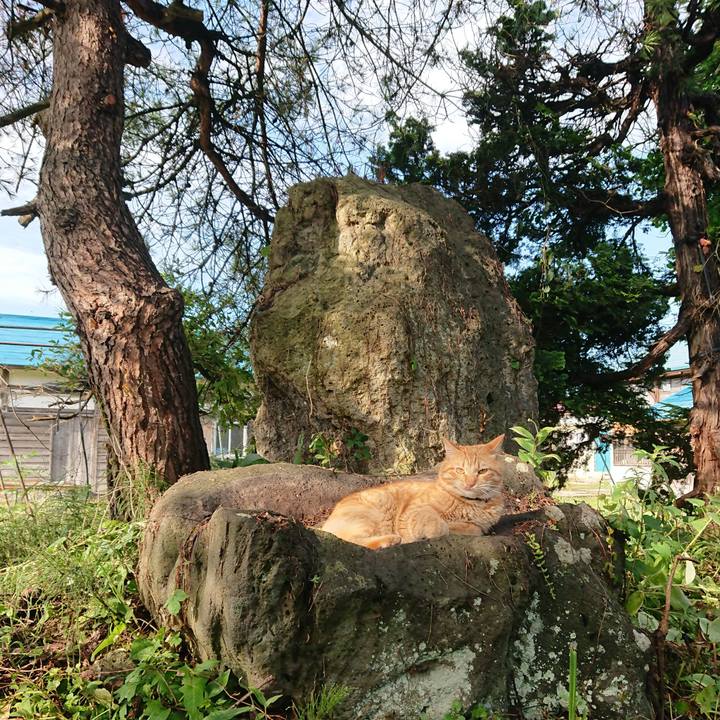 Ba15a78b 81d7 420e b551 ea68823380a1 1658095732244