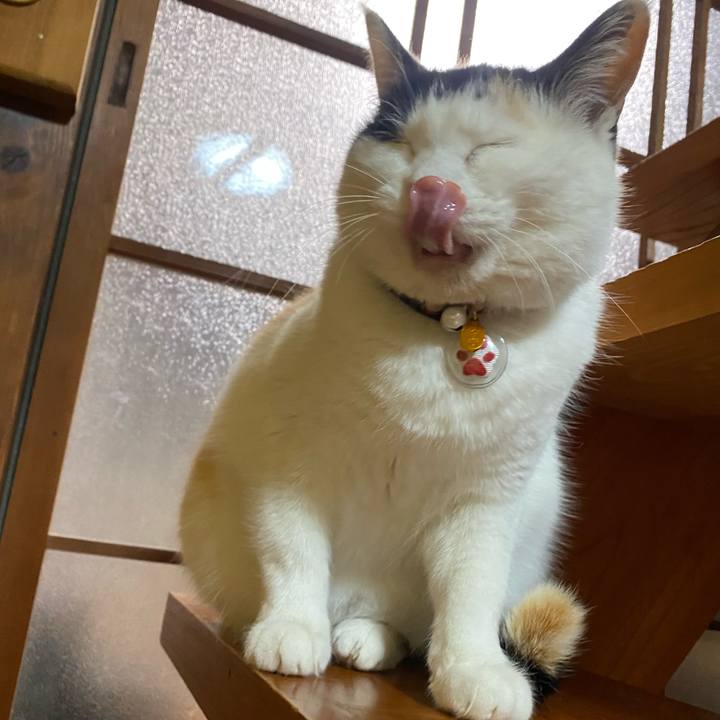 Ba15b33e c5a9 4e0b 8b8c ab5055498938 1647436411172