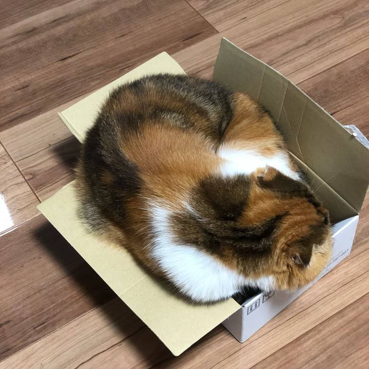 Ba15c6e5 da4f 4b47 992b 809627e8946e 1626792122628