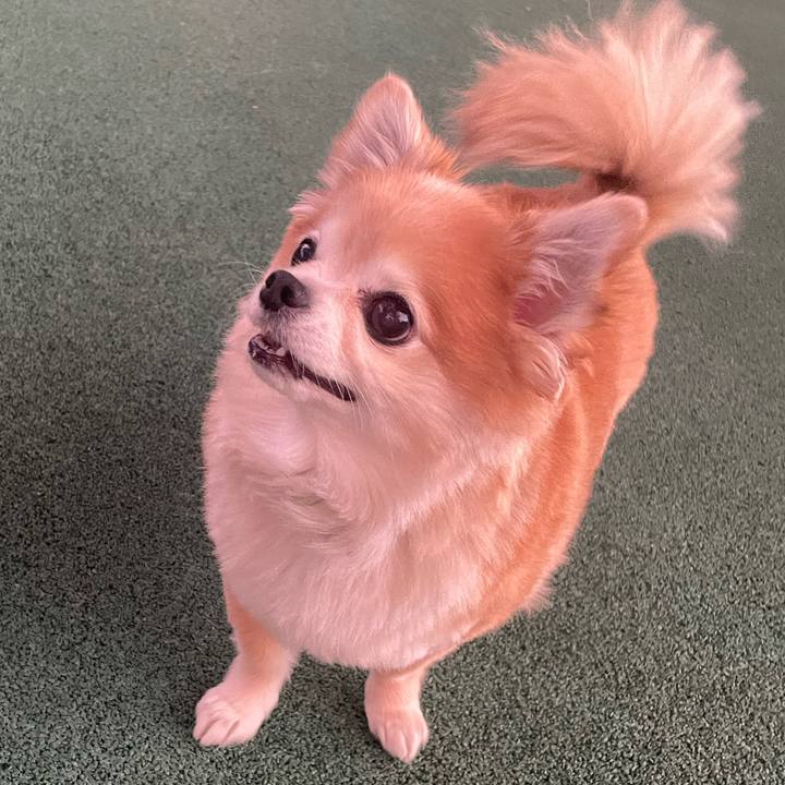 Ba15c743 c33f 46f0 adbf 3eb085e7c886 1761927052725