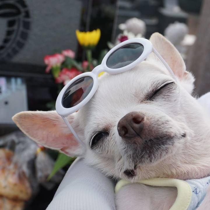 Ba15e1a8 6e4c 492e 9051 053fbda3709f 1596947148241