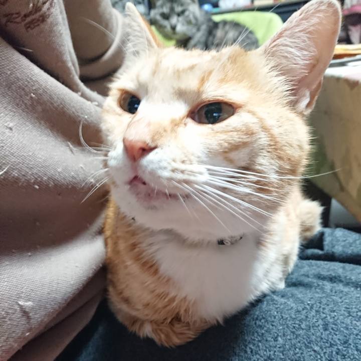 Ba15ee8d 6fc3 45c8 b171 53dc1956e3ac 1588277630295