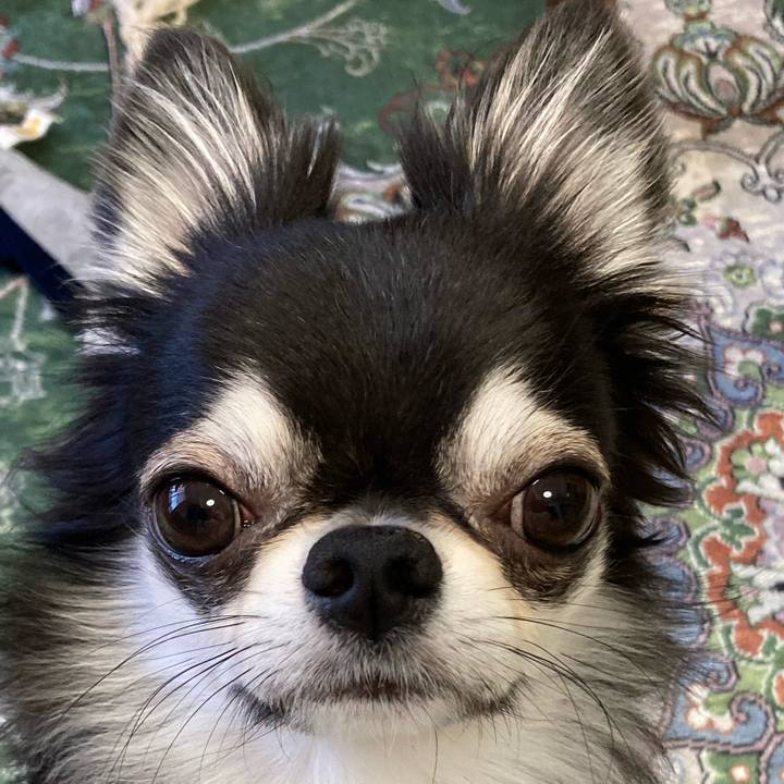 Ba160577 0772 4e4a a627 ee174da520ec 1653781111144