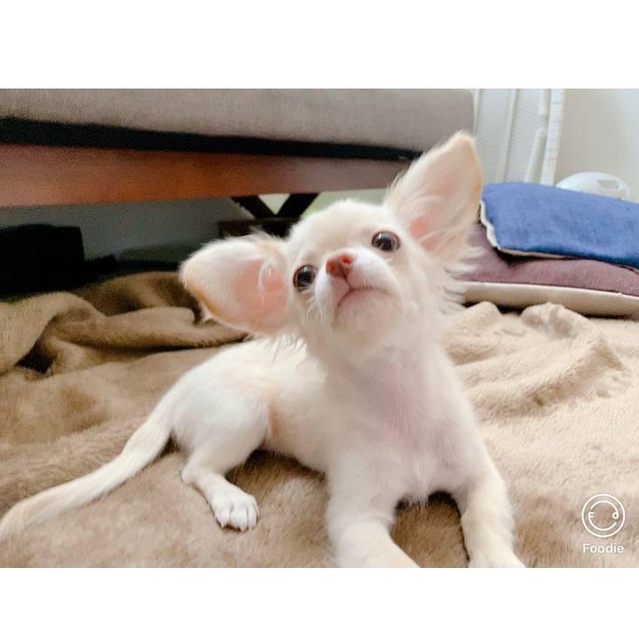 Ba16113b 82af 4ecb a222 4fd1f48358e1 1703750309082