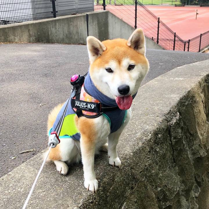 Ba16251b 1a5d 48e4 a6a3 7258fd1f09f7 1591757382831