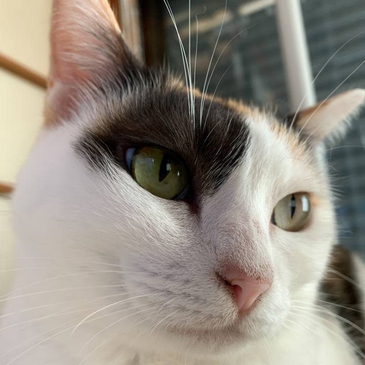 Ba1630b4 2a13 4235 9938 0e15b36ab857 1571100478285