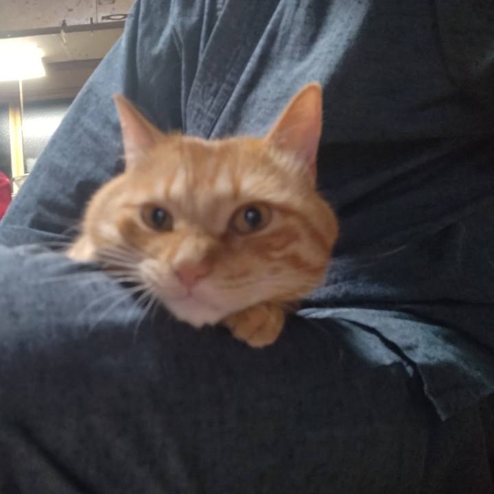 Ba164667 e95f 44a2 b499 ddb34e0c7633 1666003567752