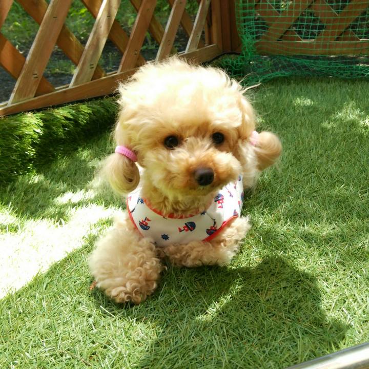 Ba168cec e99e 4f27 a82d 02f210b80ecb 1528965780704