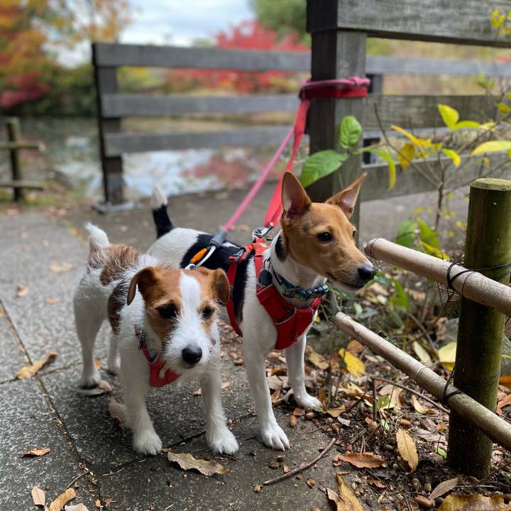 Ba1691f4 8e91 4f1d 8ad6 8fd28cca01f9 1763968697390