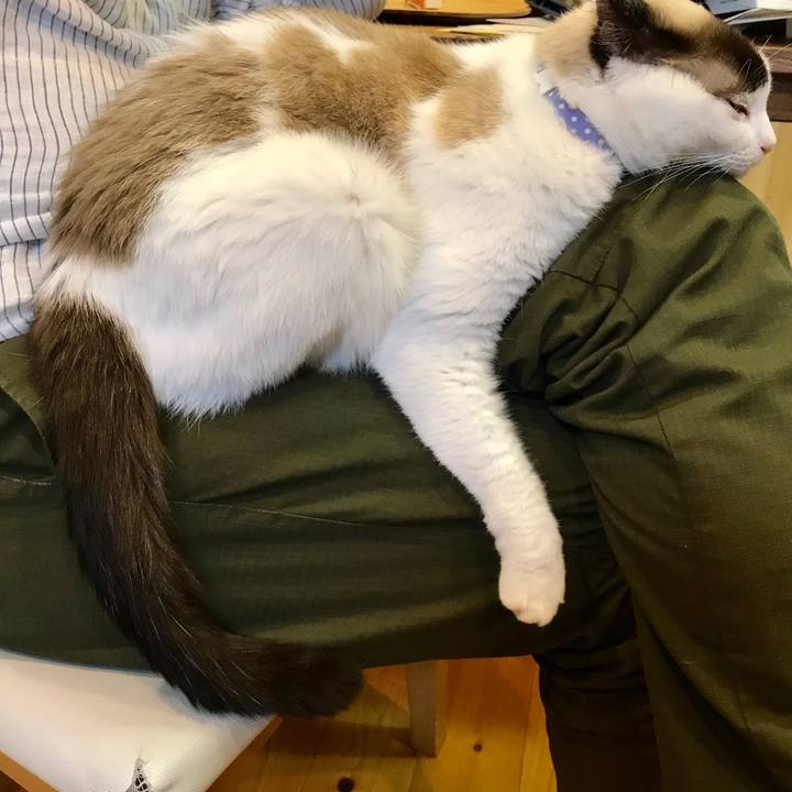 Ba169e47 7fc8 4c55 aa28 55a9ef37e5c0 1586749337291