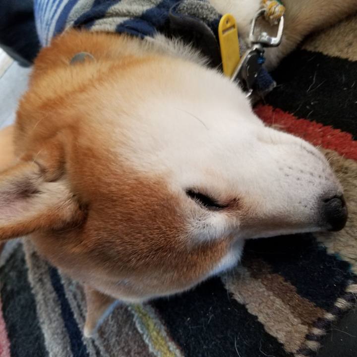 Ba16b82a 40a0 4464 a116 ea65ba0e9b46 1580606023466