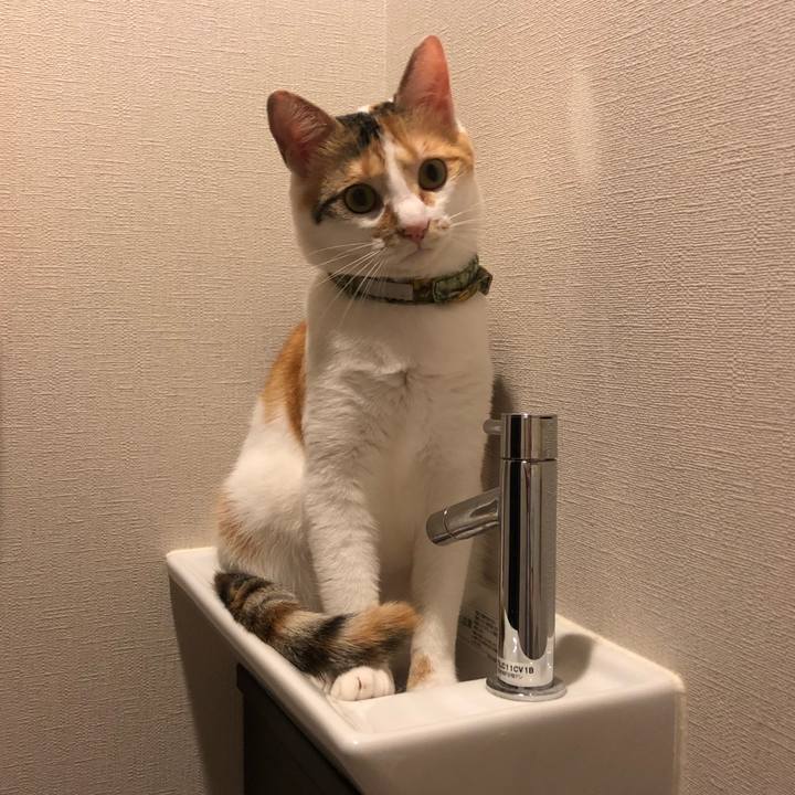 Ba16d799 2050 4b29 b5c7 243ec33e4fb6 1595055721403