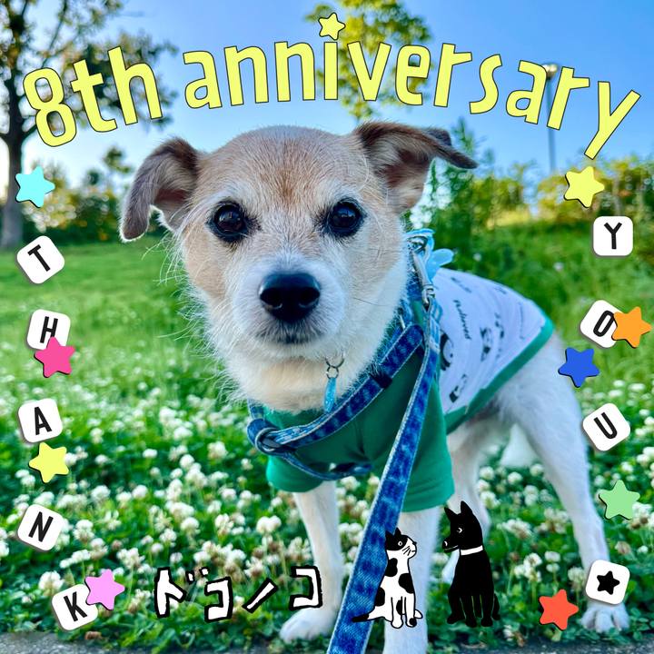 Ba16dded 3c01 4a3a b04a 5e7a74dfdf93 1717557902493