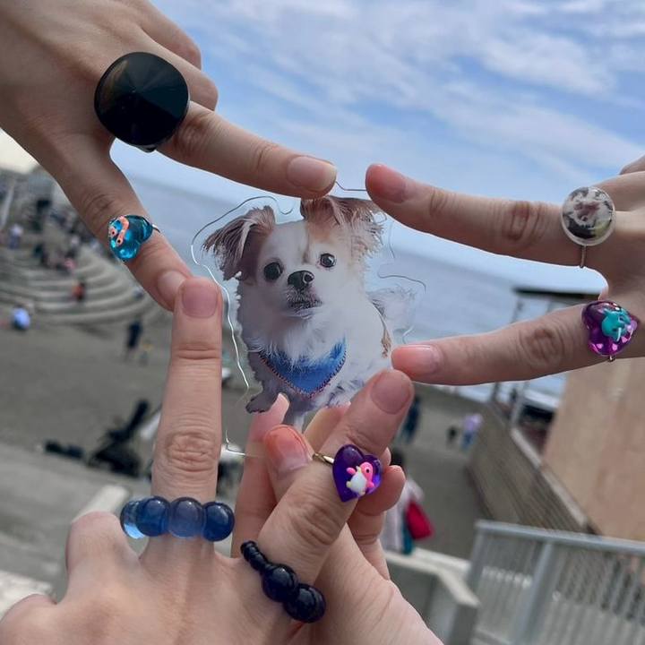 Ba16fa66 7eba 49b8 bbe7 744606b15ec5 1749352573994