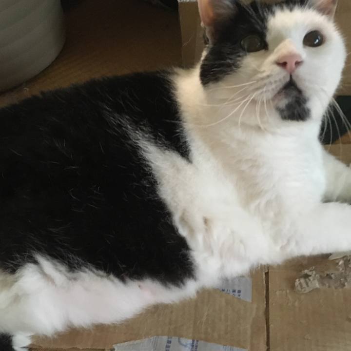 Ba171064 9a3a 4d69 9cbd 3c3323b8035c 1628462896822