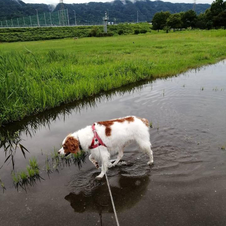 Ba1744dd 40eb 42e7 8fc9 f1f91f0593cd 1594265084197