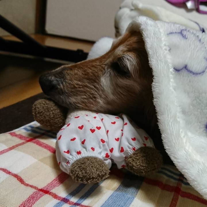 Ba174e32 26ae 4a02 95cb 13a2e4720432 1518569349186