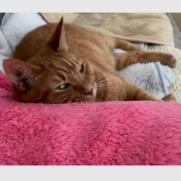 Ba176159 b0ec 4ab2 abbe 716ce2f50079 1576080273056