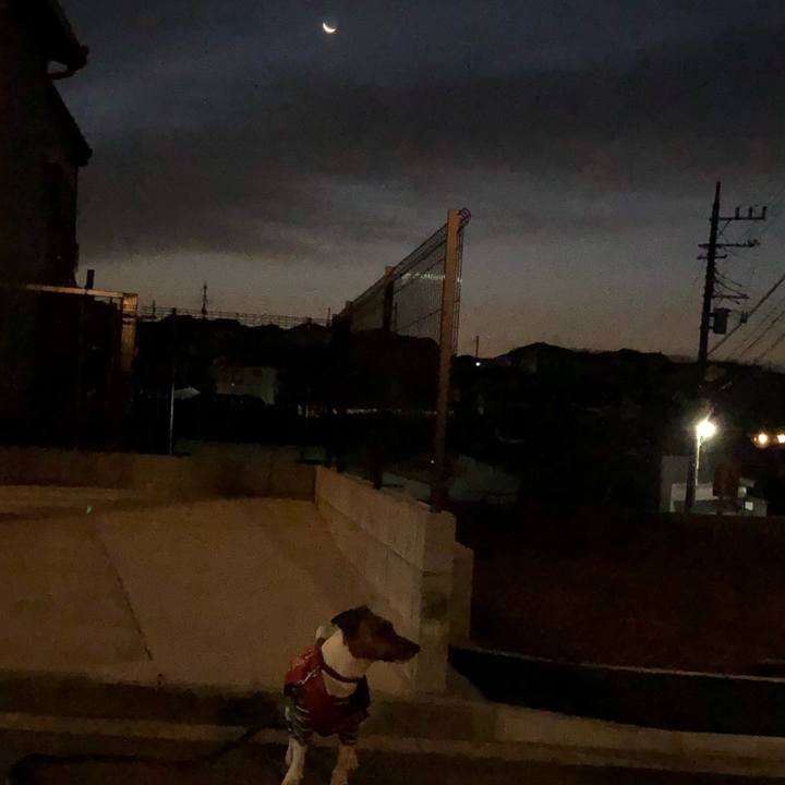 Ba1767fa 216e 4773 9663 ccc3ecb246be 1513375145148