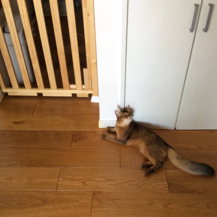 Ba177799 9050 42ff aee0 ad0c3ddd2ff5 1564617746433