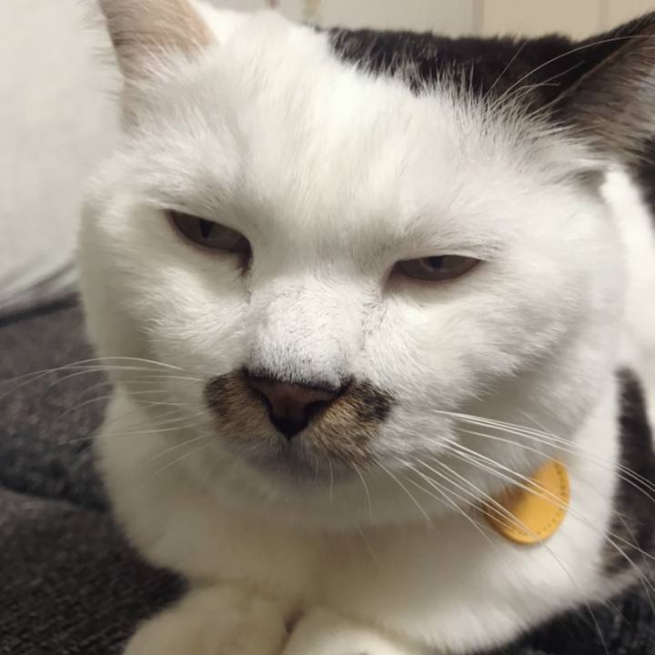 Ba178034 4208 441e 8027 596d40e95db5 1573962740461