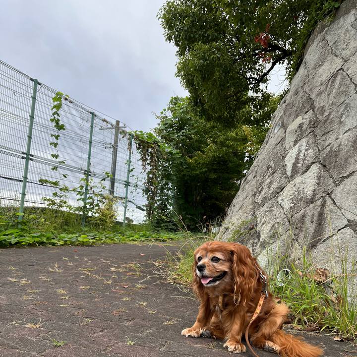 Ba17af45 e287 4aee 82c0 6b80cfd2b7f3 1760148138201