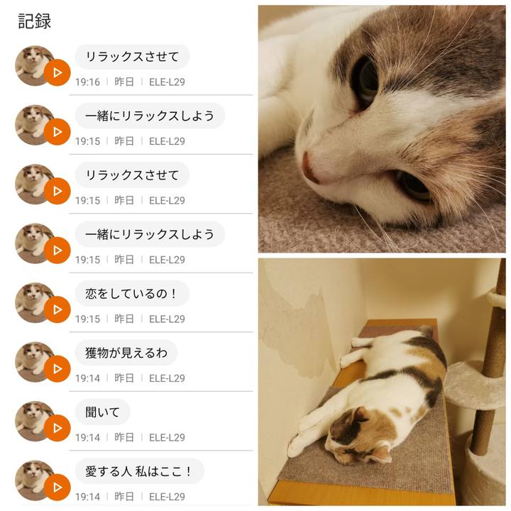 Ba17b924 3b44 451f 87f9 948822df88c9 1633578033757