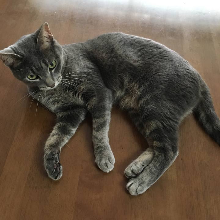 Ba17e5a9 f70a 442d 87a1 d4e177513de5 1563583561121