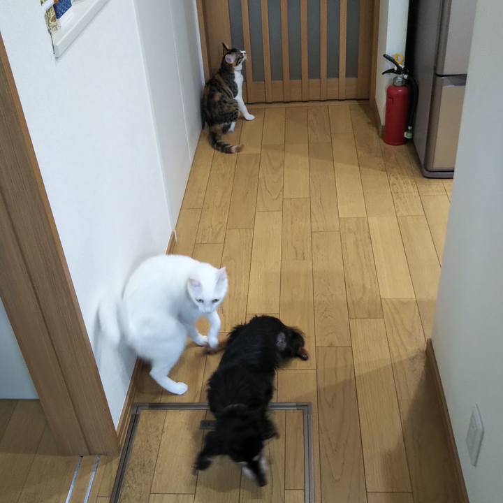 Ba18120d 4001 4404 a994 0441f83b707c 1636857812618