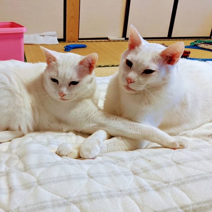 Ba181ad4 a2ae 410f b2c5 479e271a32df 1627137488001