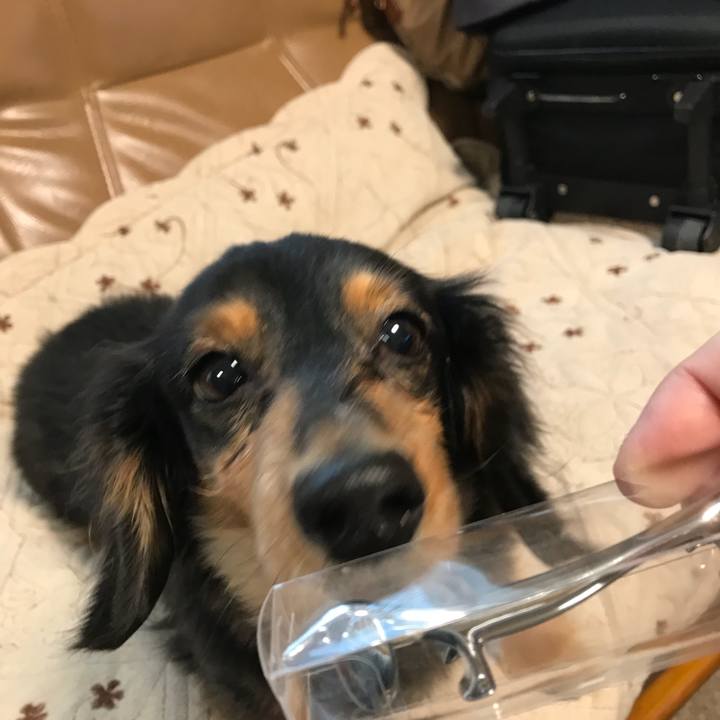 Ba185401 c581 48f7 9766 5924383f09b3 1514328180830