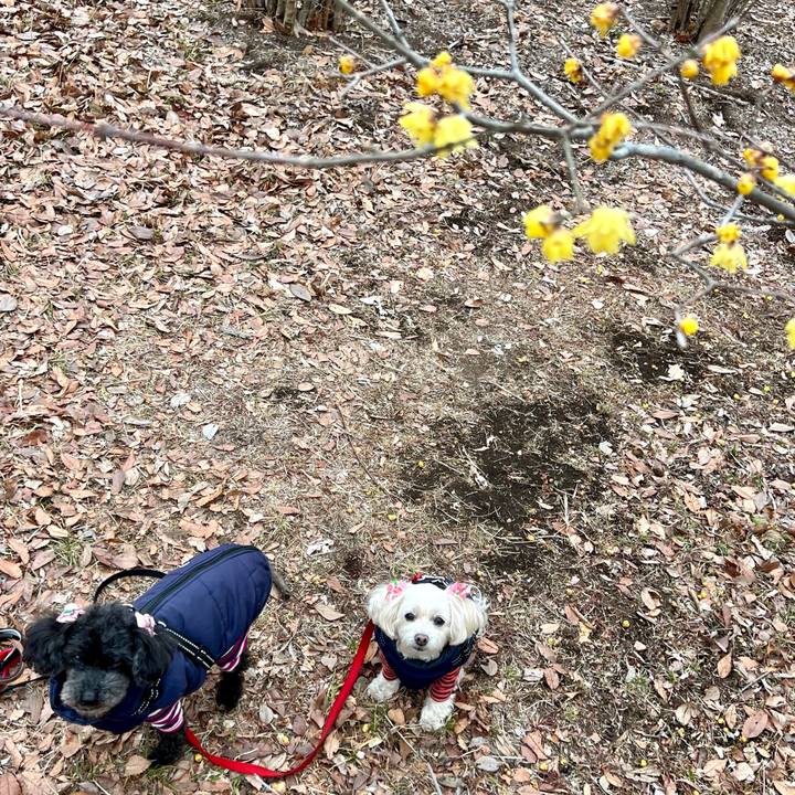 Ba189e66 7a73 4e2a a2b5 6e84020f5dcc 1771316720635