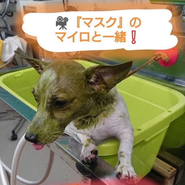 Ba18cfc1 91c2 4ec5 9f6a 0277a5c5b0a8 1563627118081